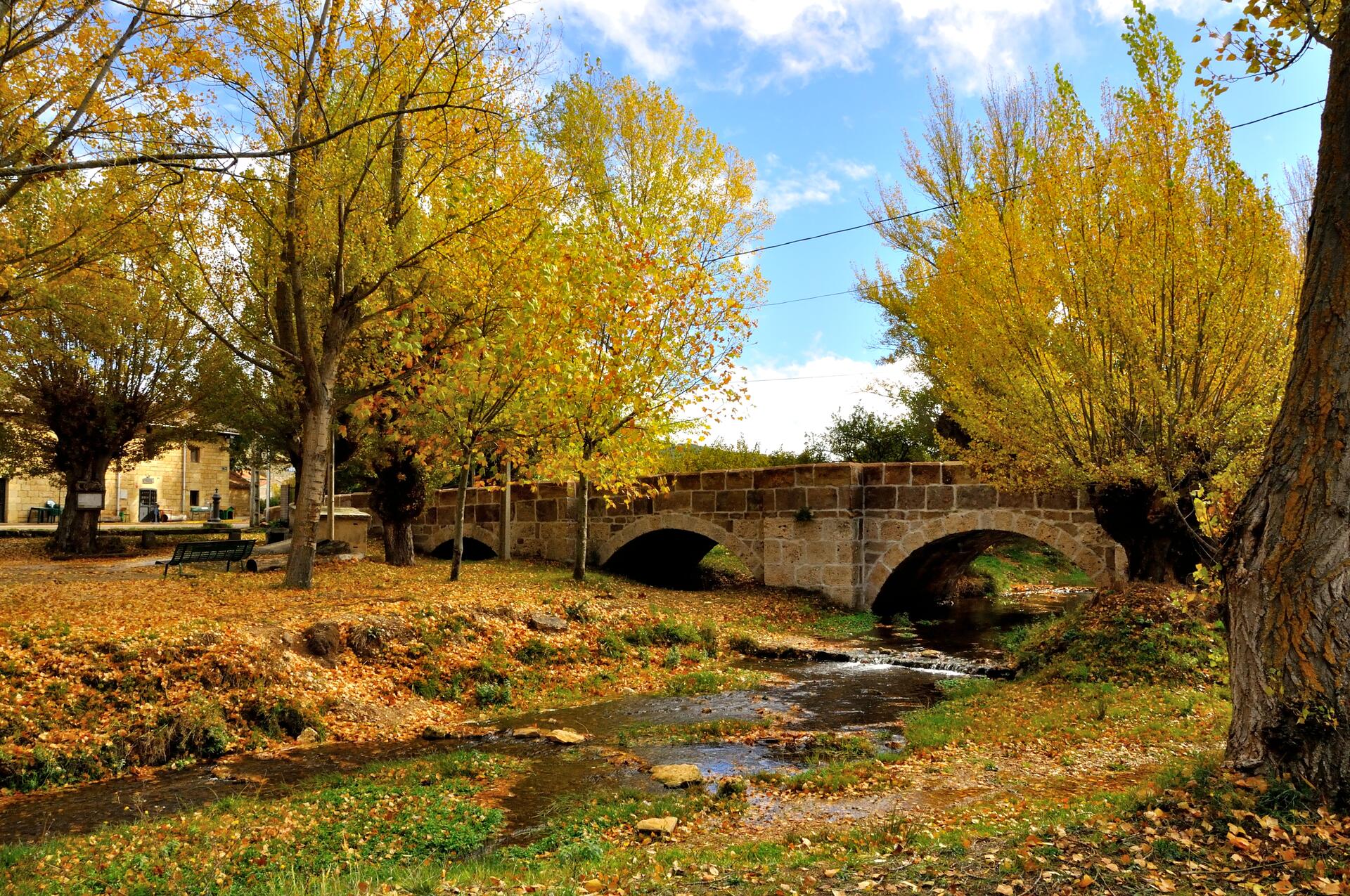 Noviembre en Revilla del Campo