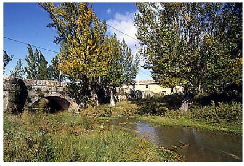 Puente sobre el río Ausín